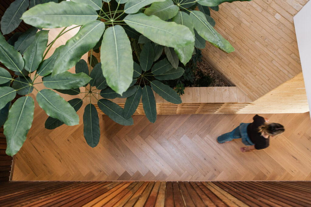 Spotted Gum Timber : Starbox Timber 