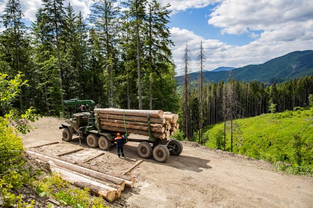 Environmental benefits of renewable timber